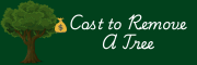 Cost to Remove a Tree